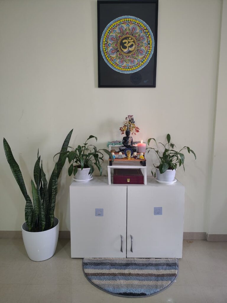 minimalist living room decor with indoor plants and mandala wall art